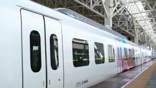 CRH6FA实力担当S8080次海口市域动车,海口东站停靠