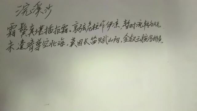 宋老师讲东坡诗:浣溪沙.霜鬓真堪插拒霜