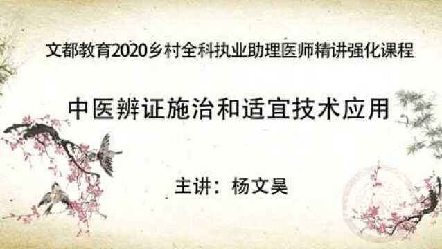 全科执业助理医师精讲:中医辨证施治和适宜技术应用2【杨文昊文都网校】