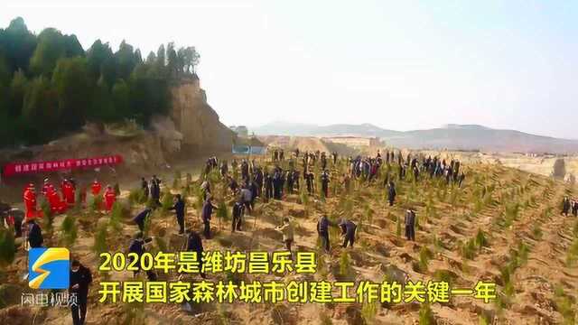 潍坊昌乐抢抓“春时”完成造林1300余亩