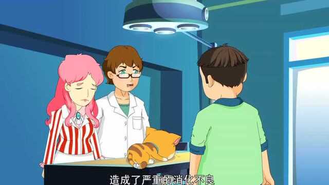 猫咪动漫:双倍的宠爱 故事二