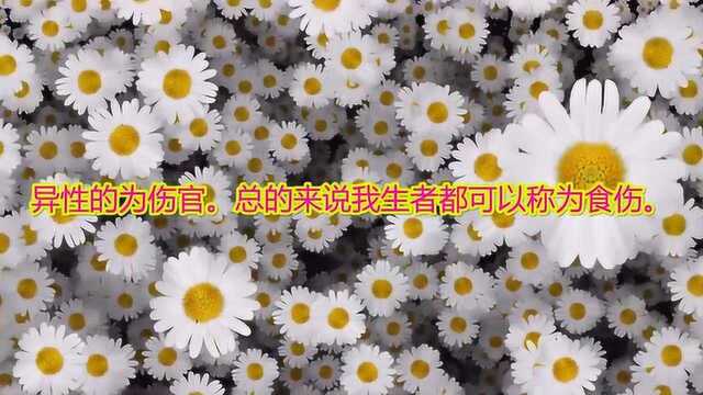 八字入门基础 第八章 八字的十神