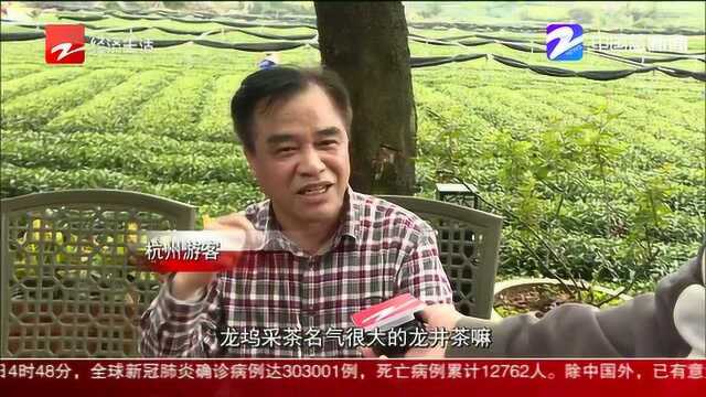 【龙坞茶室】:可以叫朋友来喝龙井茶啦!杭州茶山农家乐重新开张