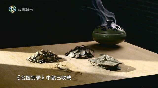 很少有人知道的香港这座城市的命名,竟来源于一味被称作百香之王的本草