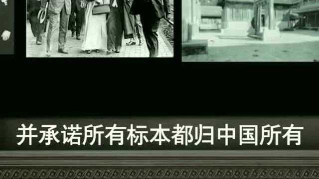 最需要被感谢的外国人——洛克菲勒,资助名校,建立协和医学院