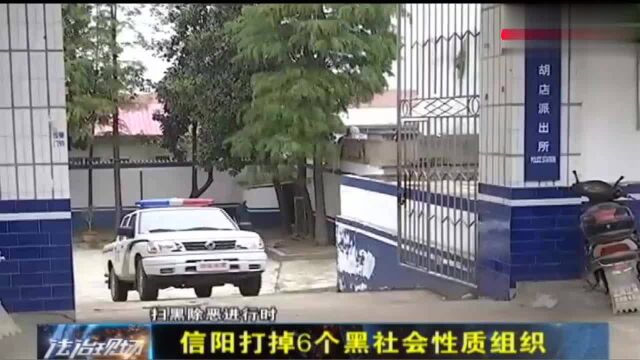 信阳市打掉6个黑社会性质组织,涉案人员高达208人