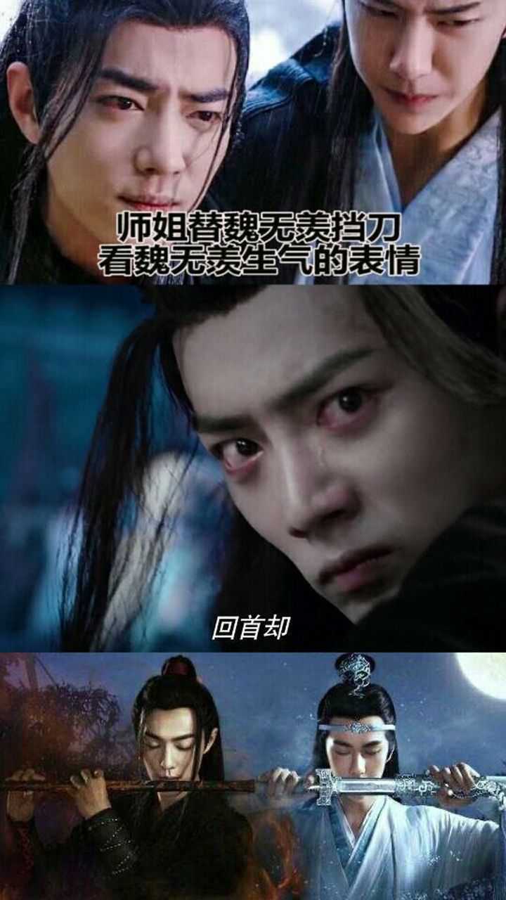 师姐为魏无羡挡了一刀魏无羡恼羞成怒替师姐报仇