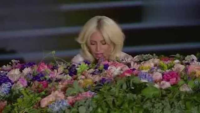 视频:LadyGaga身家12亿 其父被曝拖欠工资要网友募捐