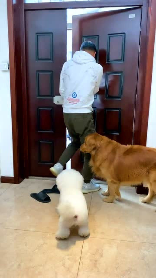 Thumbplayer Poster Plugin Image