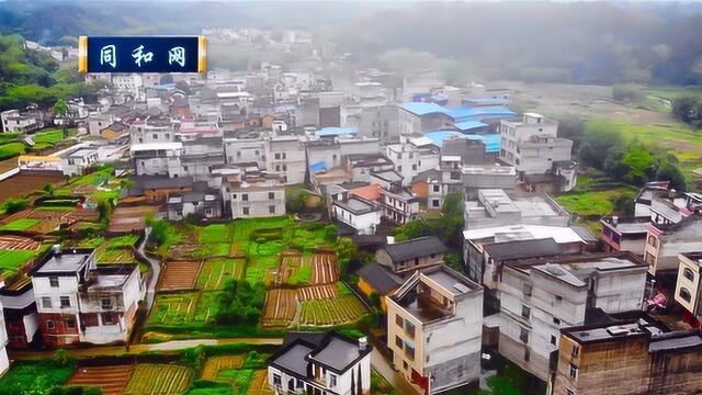 航拍:平南同和镇陈龙村,在空中看就是美!