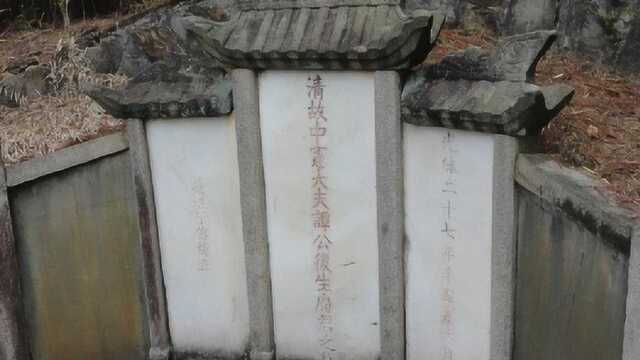 “戊戌六君”谭嗣同墓地,在乱世没有被盗,反在2008年被盗