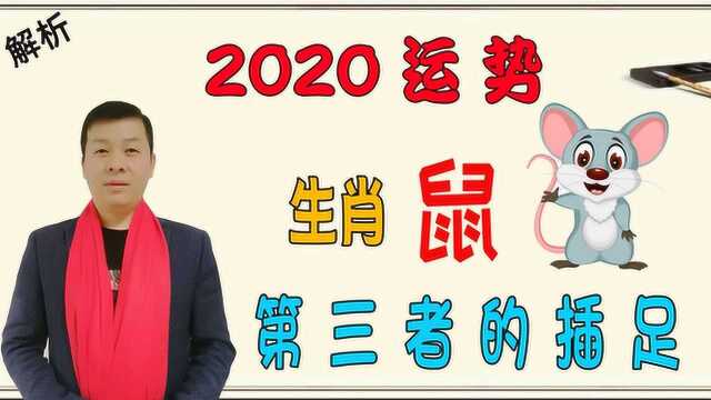 十二生肖财运,属鼠的人2020年运程运势,感情容易第三者的插足