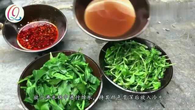 农村一种野菜,叶子长满刺,用途很厉害,可惜知道的人太少了