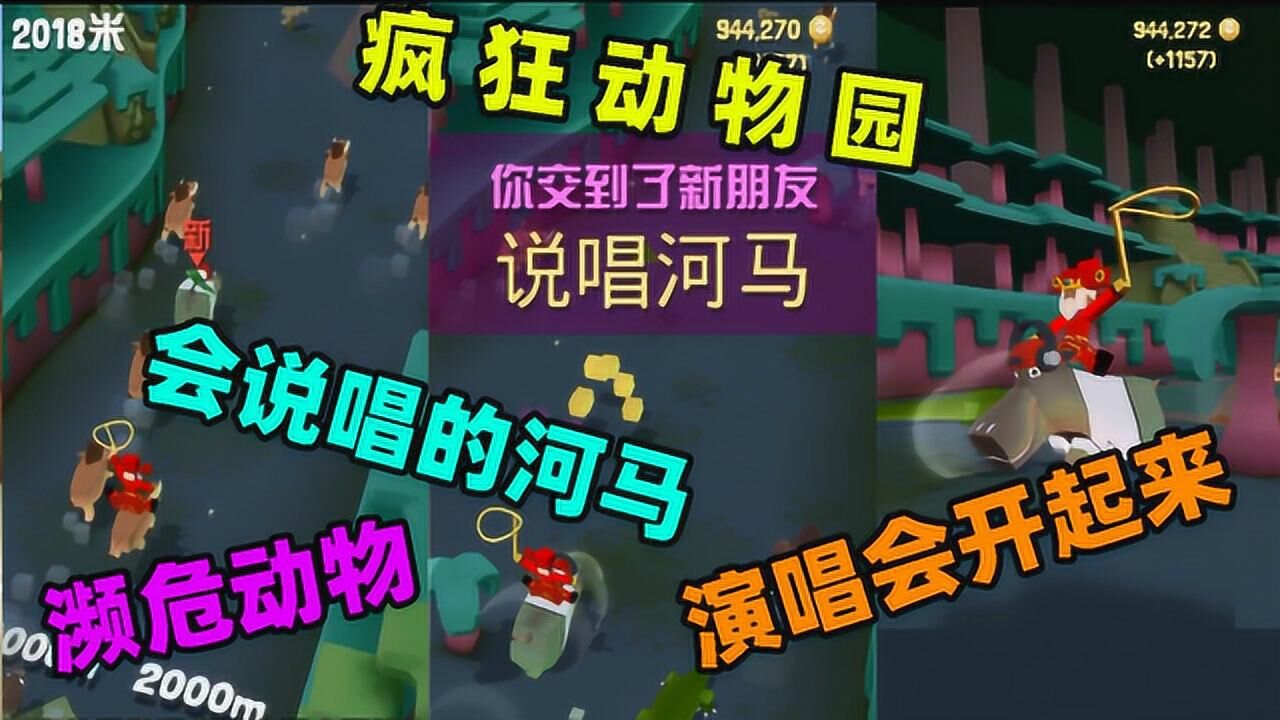 疯狂动物园驯服神兽说唱河马濒危动物演唱会可以开起来了