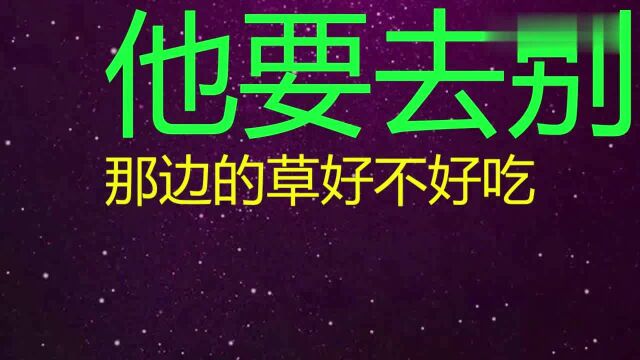 跳槽这个词原来是从青楼里传出来的,有什么香艳的典故吗?