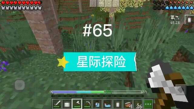 我的世界星际探险EP65:丛林里捡到椰子肉,果然很奇怪