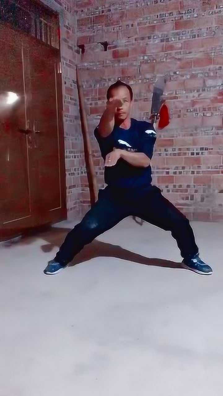 蛇鹤八步拳,献给所有爱好武术的有缘人_腾讯视频