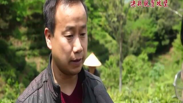 制茶“高手”何志勇:以茶为媒引领百姓致富