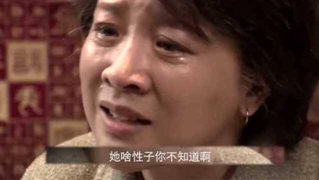 叶落长安第38集01:女婿向玉兰认错,玉兰心里也气,却还要帮着他