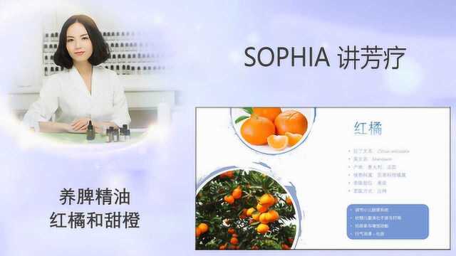 「芳灸儿」导师 SOPHIA讲芳疗16:养脾精油红橘和甜橙