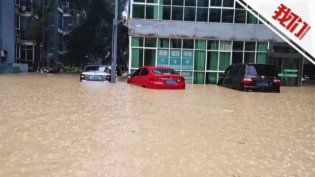 广西百色多区县遭强降雨袭击:小区被困成孤岛 群众上街抓大鱼