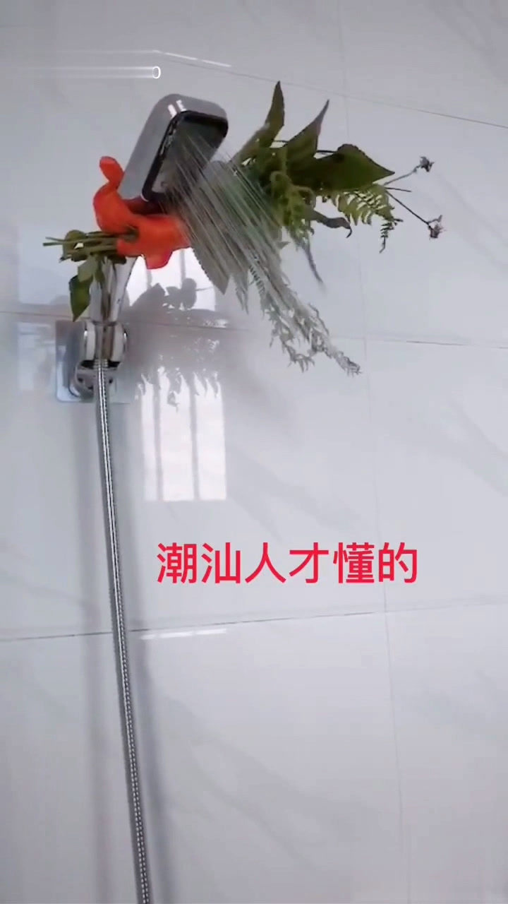 潮汕七色花!_腾讯视频