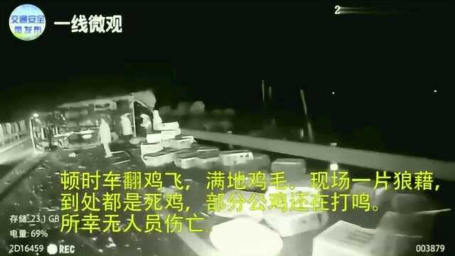 疲劳驾驶致追尾 车翻鸡飞一地鸡毛