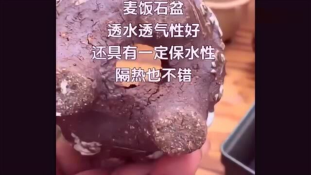 30秒帮你分析5种材质,别再纠结多肉到底用什么花盆最合适啦!