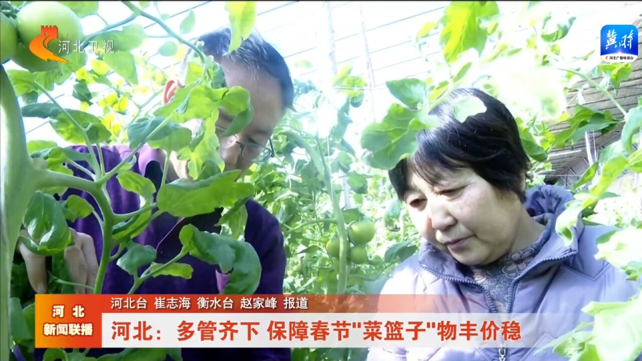 河北:多管齐下 保障春节“菜篮子”物丰价稳