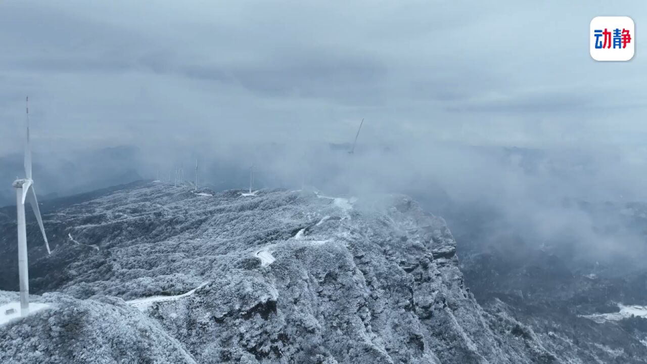 道真:春日雪景美如画