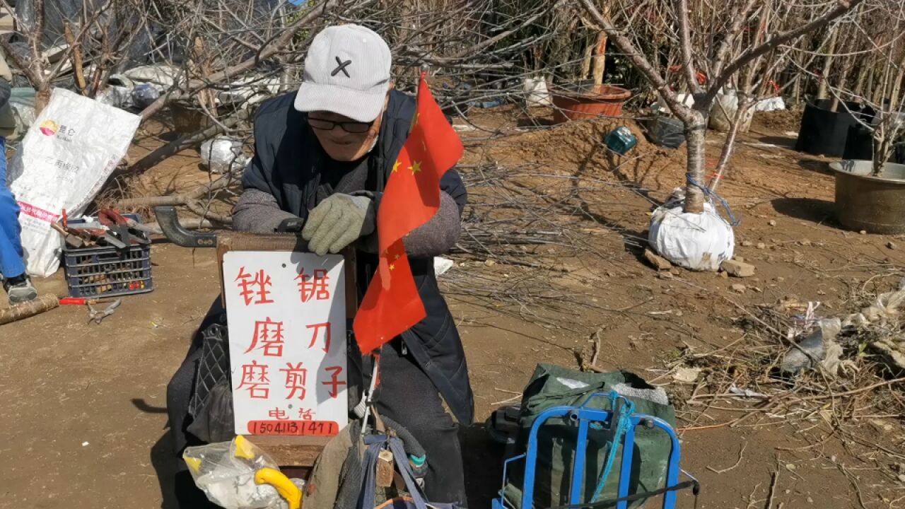 备战春耕 营城子大集果树热销