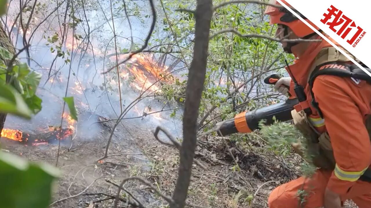 救援现场:山西临汾山火火场东线明火已全部扑灭 南线仍有部分明火正扑救