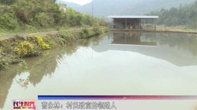 曹永林:村民致富的领路人