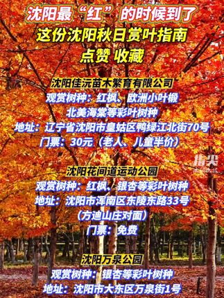 沈阳什么地方批发鲜花便宜 沈阳什么地方批发鲜花便宜