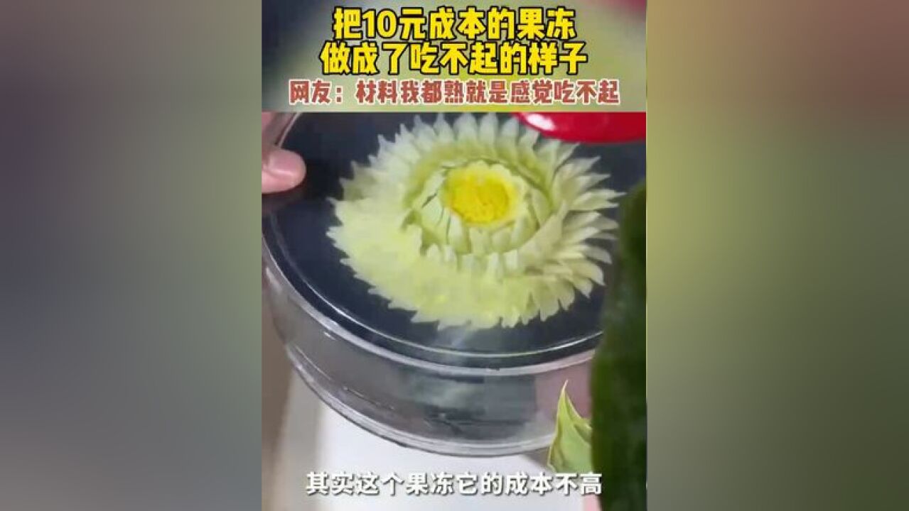 把成本10块钱的果冻做成吃不起的样子 网友:材料我都熟就是感觉吃不起