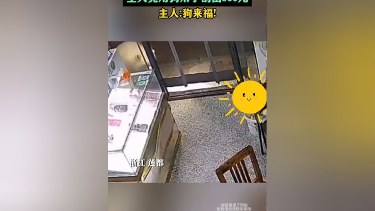 遛狗时狗子突然窜入彩票店,主人竟用狗爪子刮出500元!