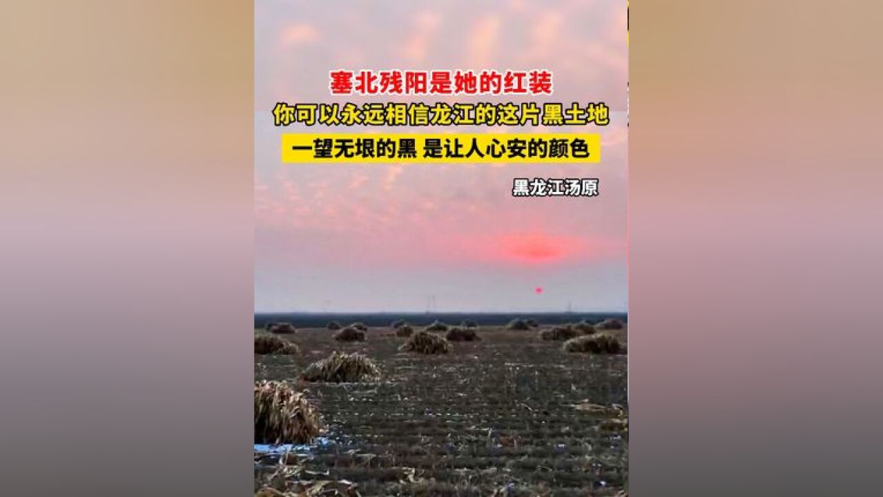 塞北残阳是她的红装 你可以永远相信龙江的这片黑土地