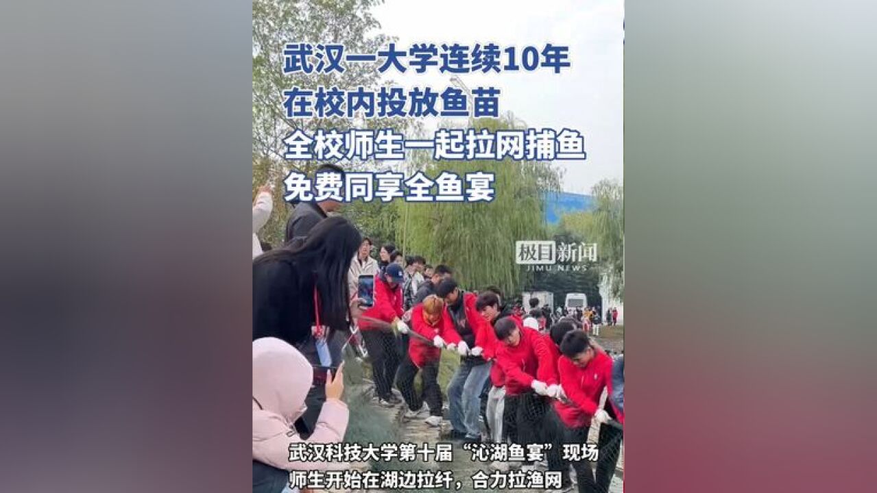 武汉一大学连续10年在校内投放鱼苗,全校师生一起拉网捕鱼免费同享全鱼宴(独家内容)