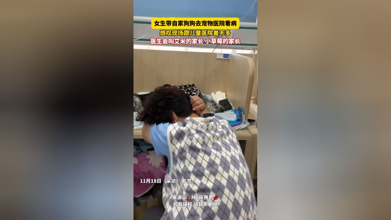 女生带自家狗狗去宠物医院看病,感叹现场跟儿童医院差不多