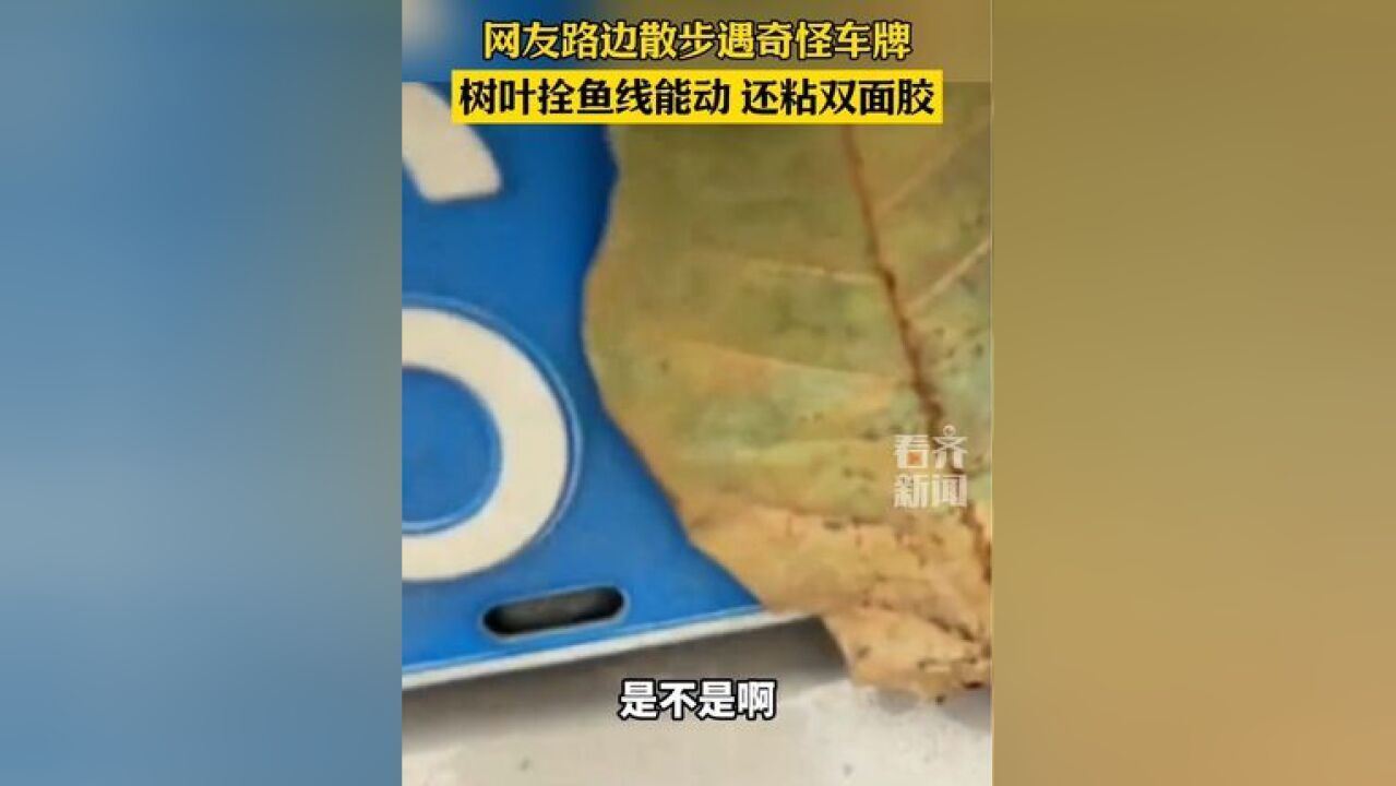 网友路边散步遇奇怪车牌树叶拴鱼线能动 还粘双面胶