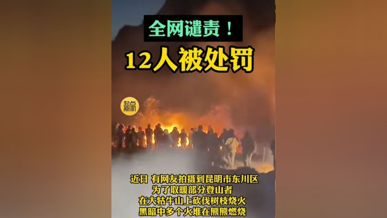 全网谴责!12人被处罚