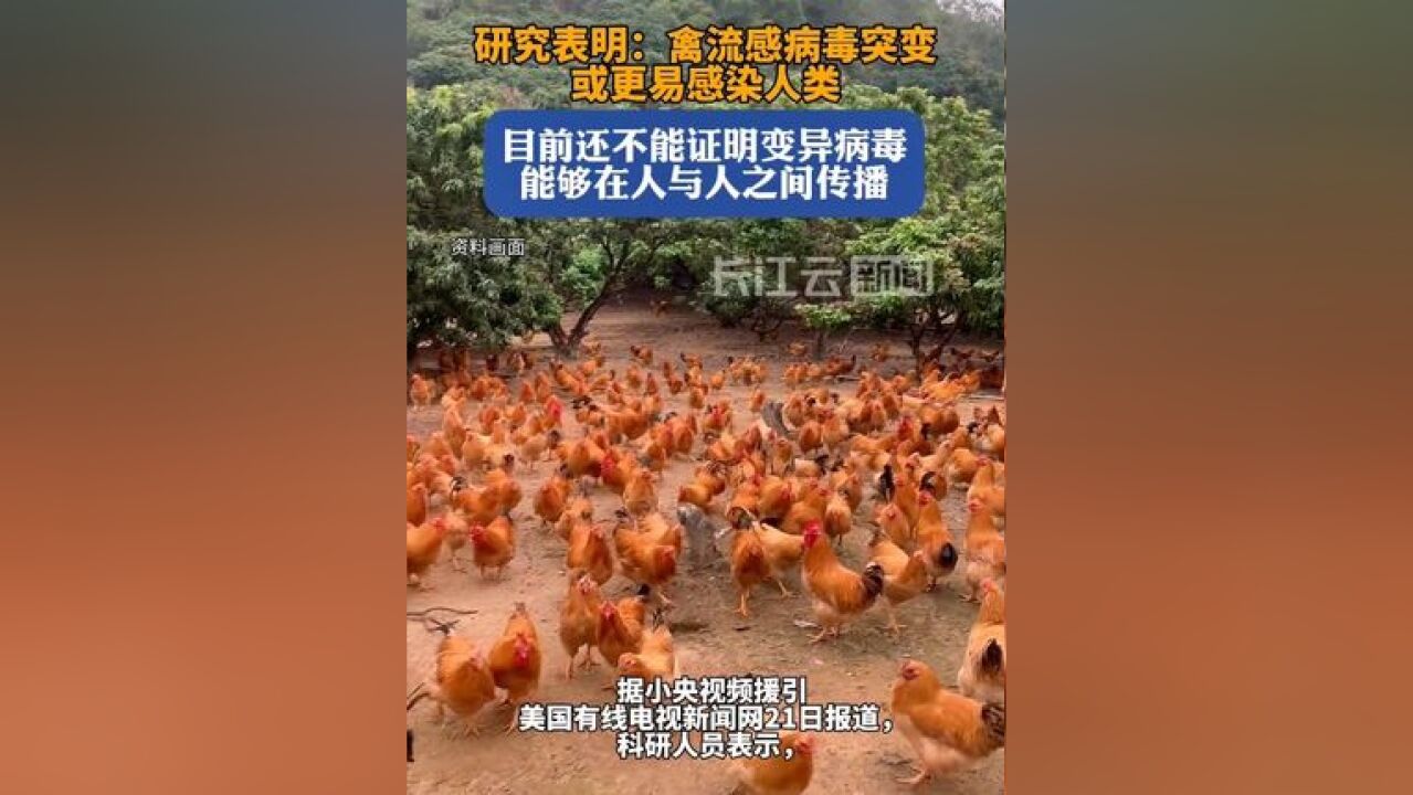 研究表明禽流感病毒或更易感染人类