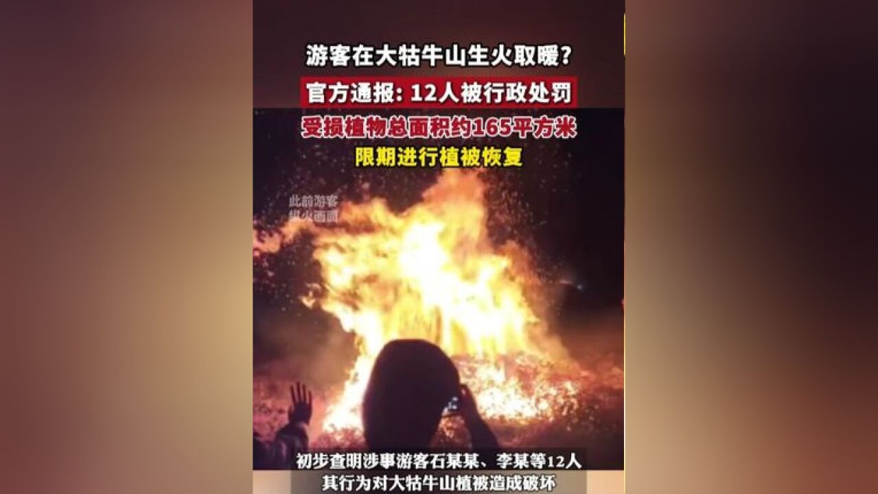 官方通报游客在大牯牛山生火取暖,12人被行政处罚