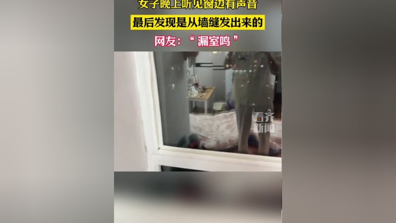 女子晚上听见窗边有声音最后发现是从墙缝发出来的 网友:“漏室鸣”