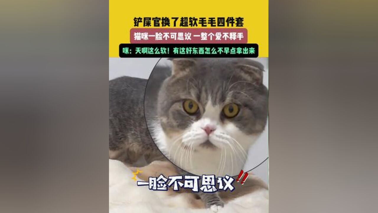 11月25日,安徽铲屎官换了超软毛毛四件套,猫咪一脸不可思议 一整个爱不释手,咪:天啊这么软!有这好东西怎么不早点拿出来