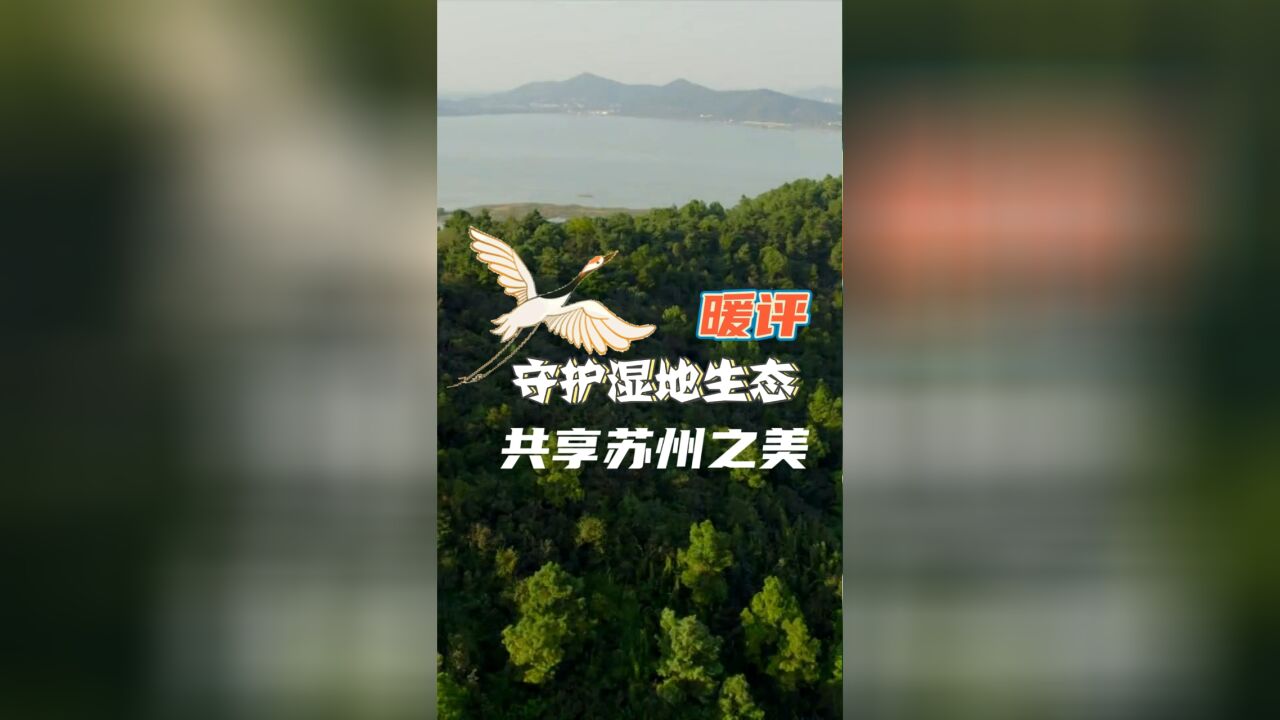 暖评:守护湿地生态,共享苏州之美!