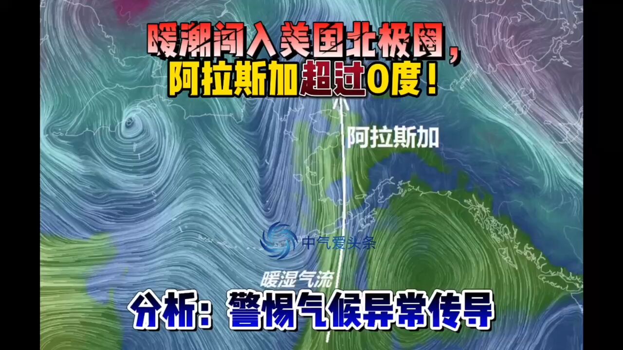 暖潮闯入美国北极圈,阿拉斯加超过0度!分析:警惕气候异常传导