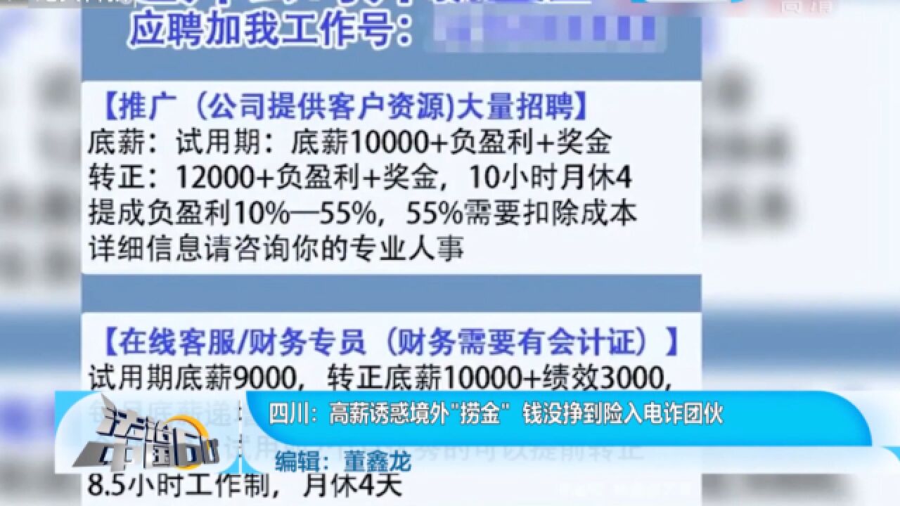 高薪诱惑境外“捞金”,钱没挣到险入电诈团伙