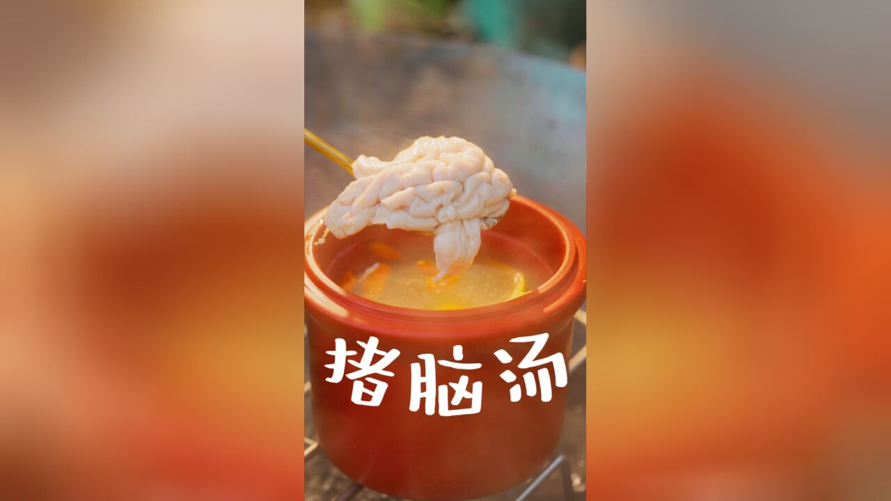 天麻炖猪脑以形补形,妈妈说喝了会变聪明?