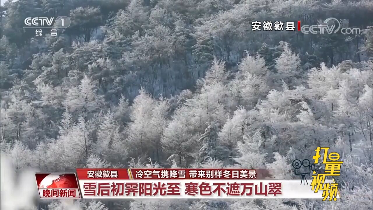 绝美画面!冷空气携降雪,带来别样冬日美景